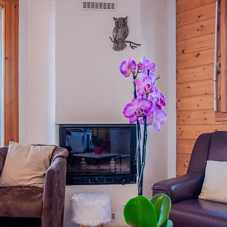 Les Chouettes 11 By Interhome Apartmán